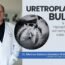 Uretroplastia bulbar e correção de hipospádia glandar em caso de estenose com fístulas perineais.